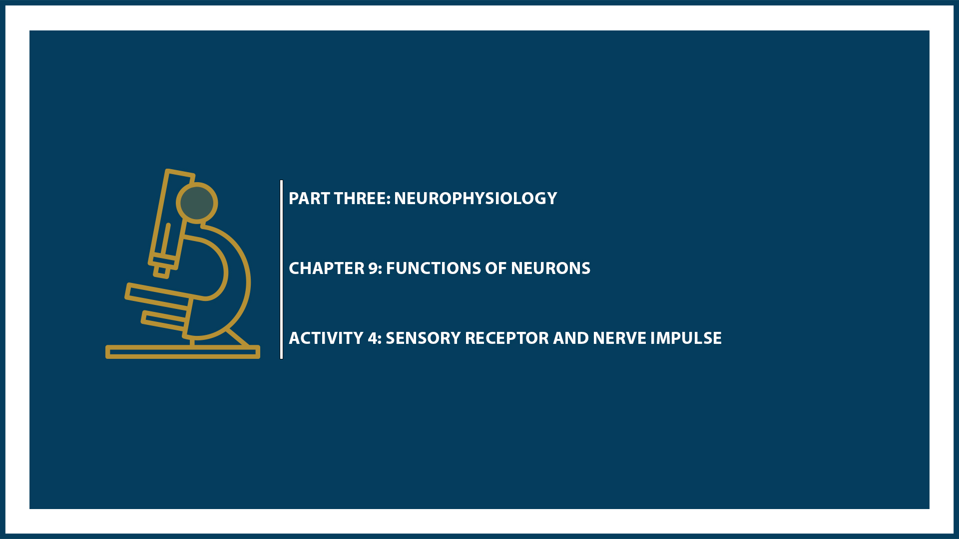 Unit Three: (Suspended part) Chapter 9 - Document 4: Sensory receptor and nerve impulse